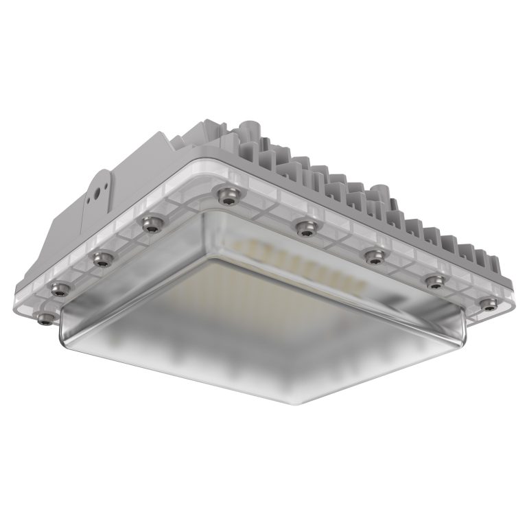 LEHF1 Hazardous Location LED Light Fixture