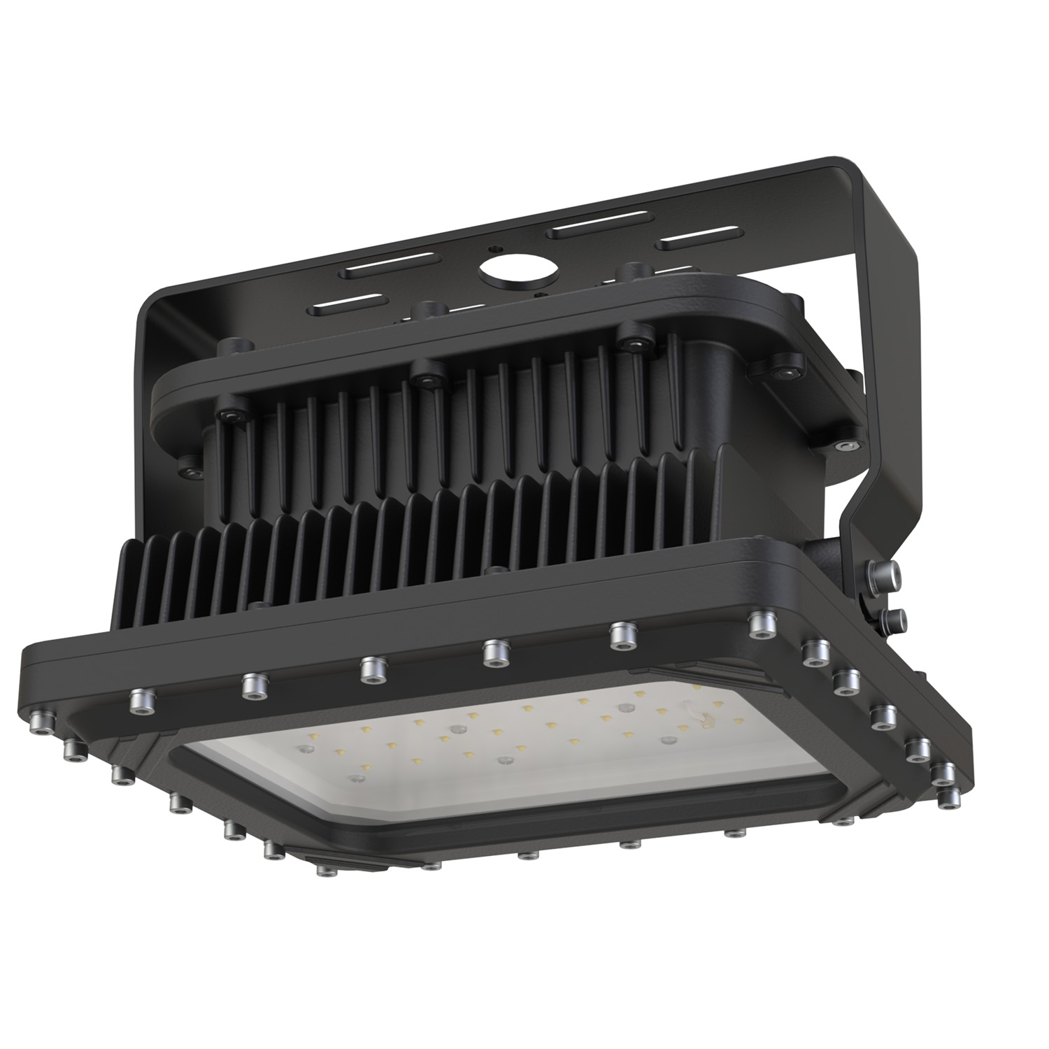 LEXFG2 Explosion Proof LED Light Fixture LEXFG2 Explosion Proof LED Light Fixture